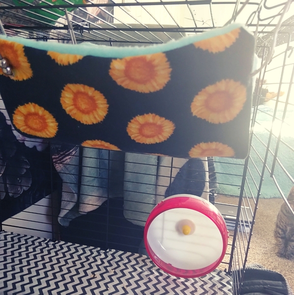 Hammock - Picture 1 of 1